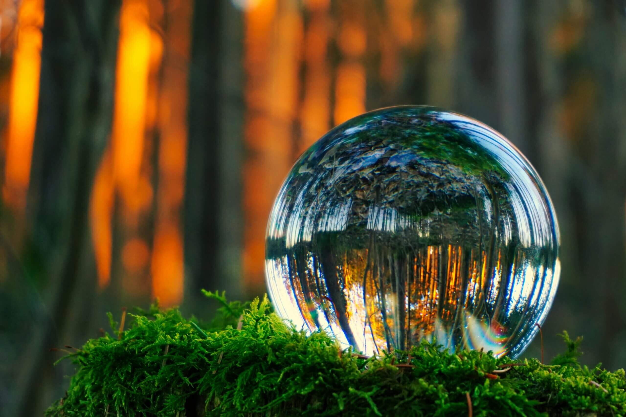 Beyond Psychic Psychic Readings